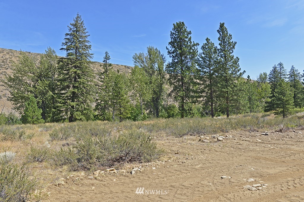 2 Arrowhead Road Winthrop, WA 98862 - Photo 18 of 21 Gallery Image 18