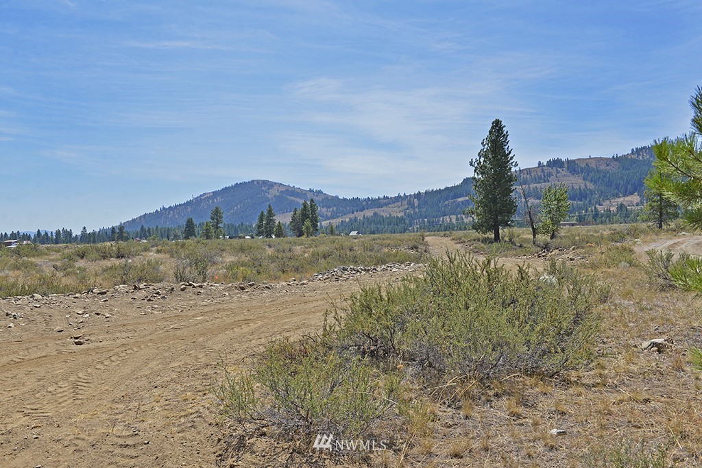 2 Arrowhead Road Winthrop, WA 98862 - Photo 20 of 21 Gallery Image 20