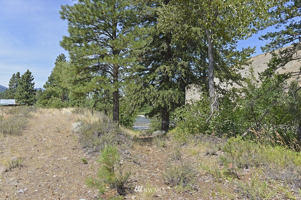2 Arrowhead Road Winthrop, WA 98862 - Photo 9 of 21 Gallery Image 9