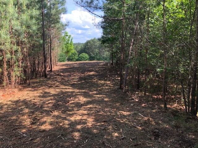 139 Drewberry Lane Sunset, SC 29685 - Photo 4 of 12