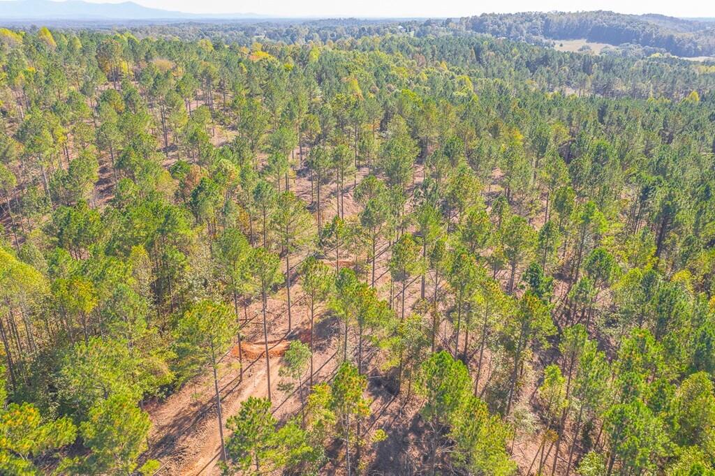 40-41 Crow Road Dalton, GA 30721 - Photo 11 of 17 11