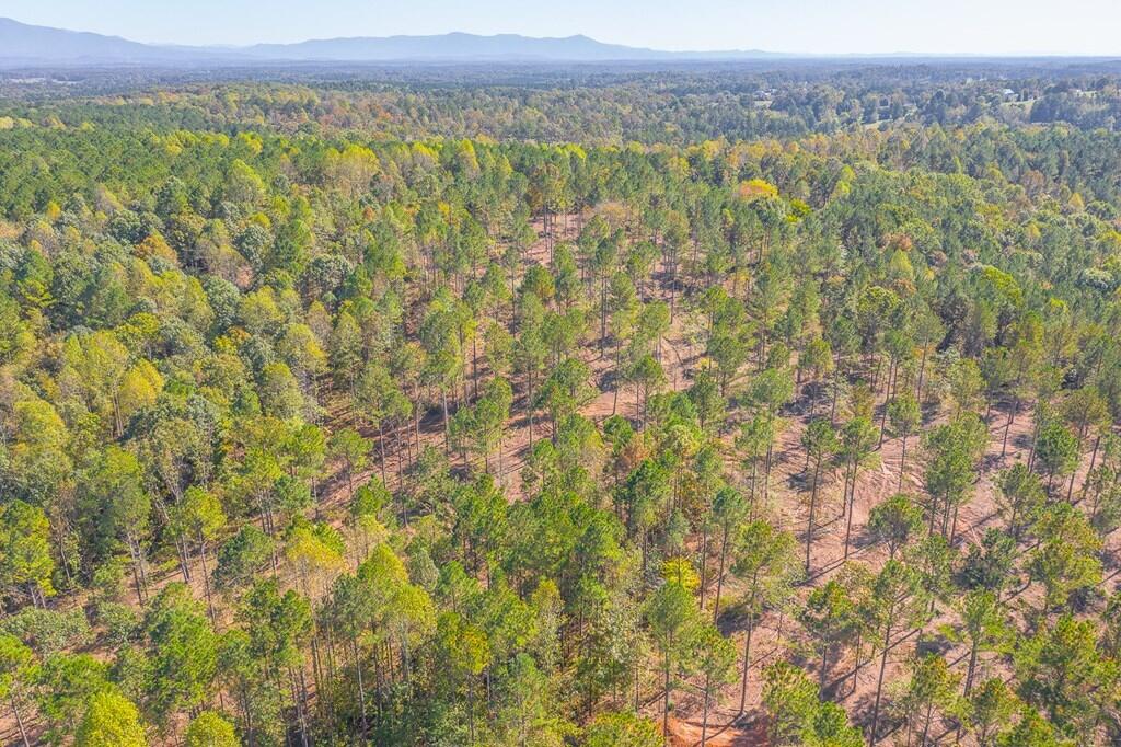 40-41 Crow Road Dalton, GA 30721 - Photo 12 of 17 12