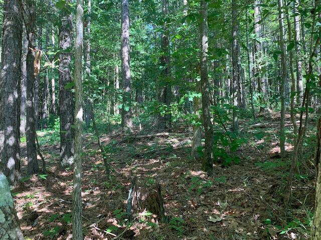 40-41 Crow Road Dalton, GA 30721 - Photo 17 of 17 17