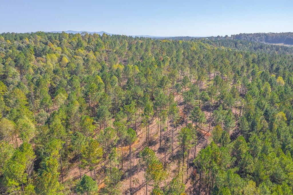 40-41 Crow Road Dalton, GA 30721 - Photo 5 of 17 5