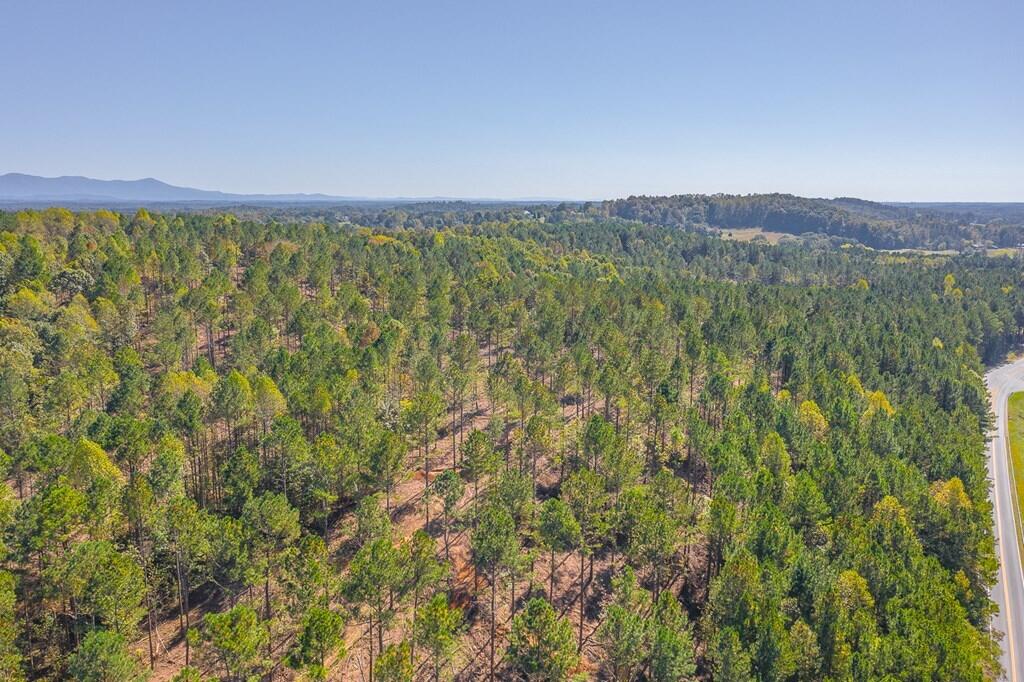 40-41 Crow Road Dalton, GA 30721 - Photo 10 of 17 10