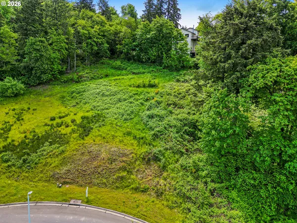 a view of a yard with a trees