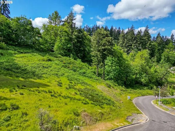 a view of a garden with an empty room