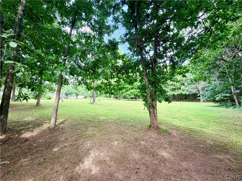 179 Co Rt Chaumont, NY 13622 - Photo 8 of 9 Gallery Image 8