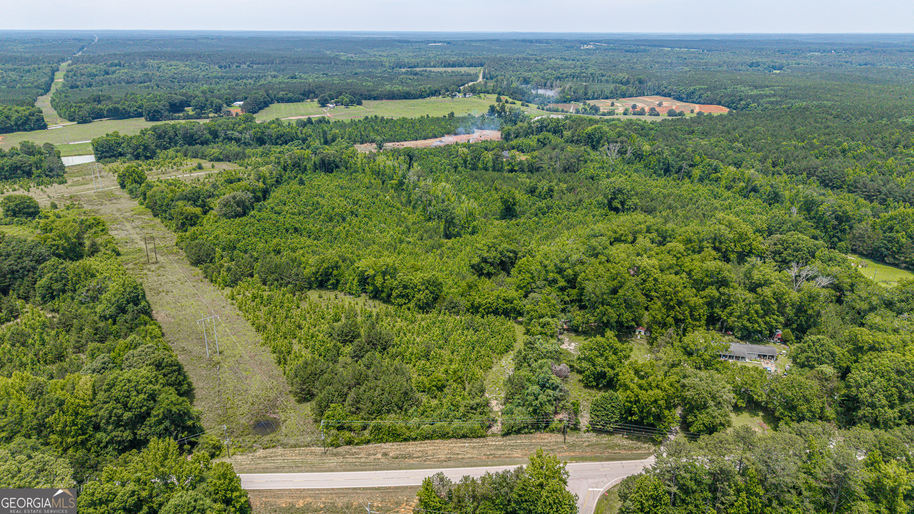 0 Washington Highway Union Point, GA 30669 - Photo 3 of 22