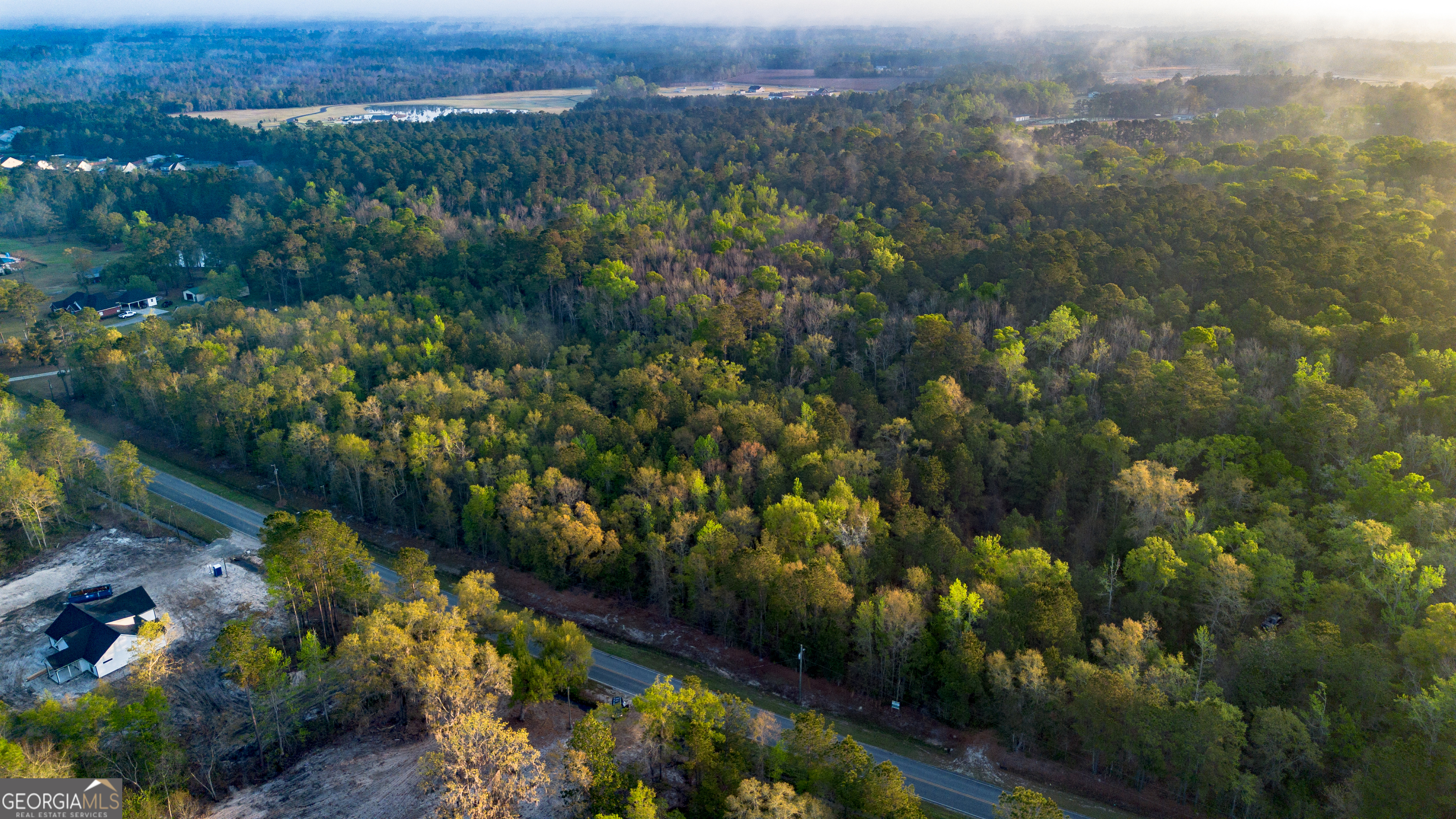 0 Little McCall Road Rincon, GA 31326 - Photo 7 of 12 an aerial view of a residential houses with outdoor space and trees