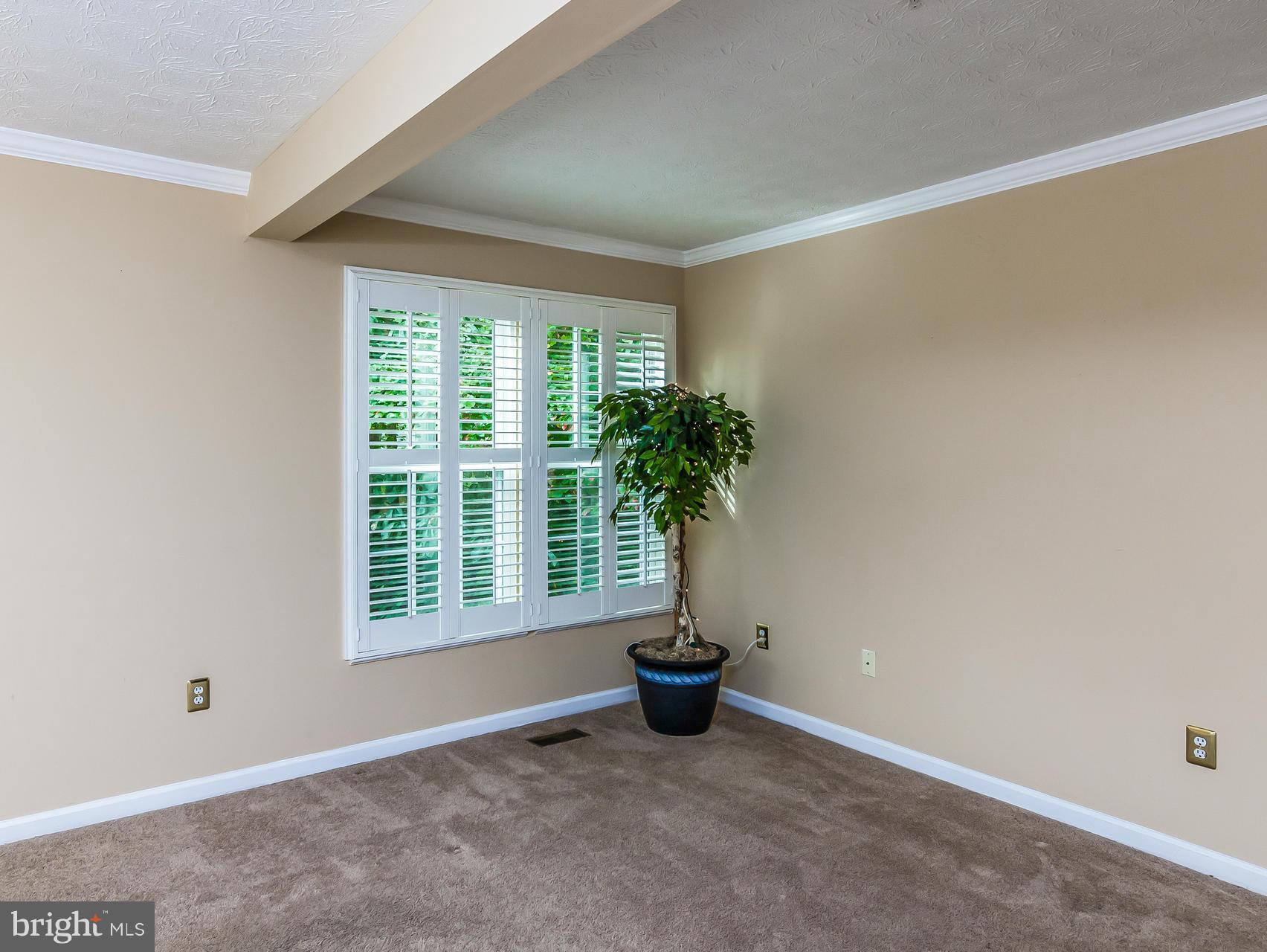 8616 Fire Rock Road Laurel, MD 20724 - Photo 7 of 30 Neutral walls