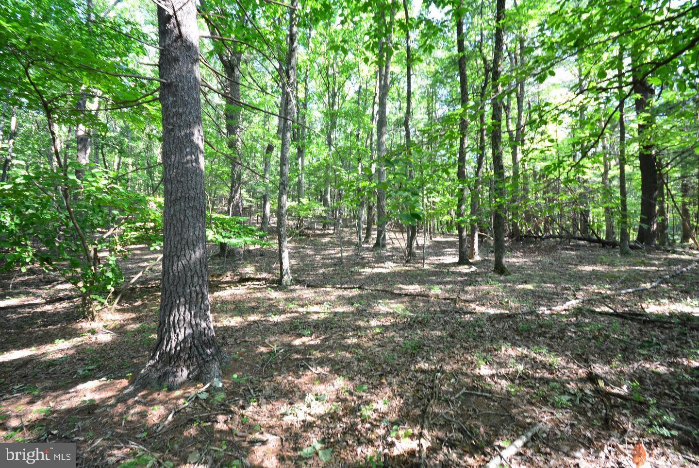 Not On File Cross Junction Cross Junction, VA 22625 - Photo 2 of 25 4 SEPARATE LOTS