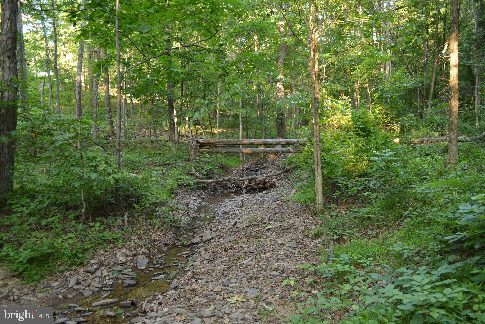 Not On File Cross Junction Cross Junction, VA 22625 - Photo 14 of 25 LAND
