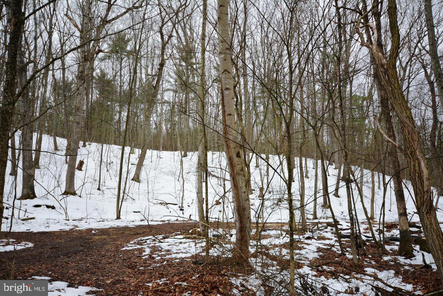 Not On File Cross Junction Cross Junction, VA 22625 - Photo 21 of 25 LAND