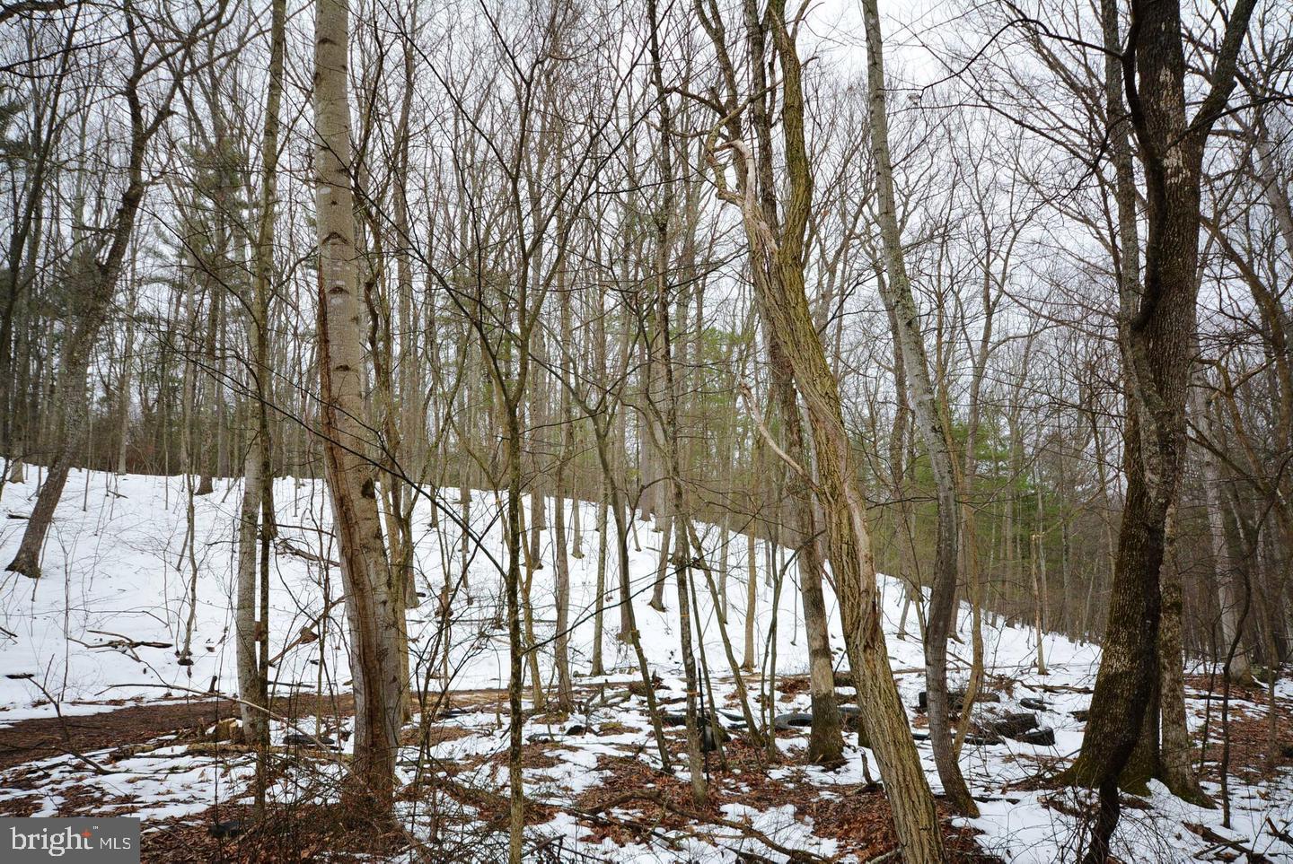 Not On File Cross Junction Cross Junction, VA 22625 - Photo 22 of 25 LAND