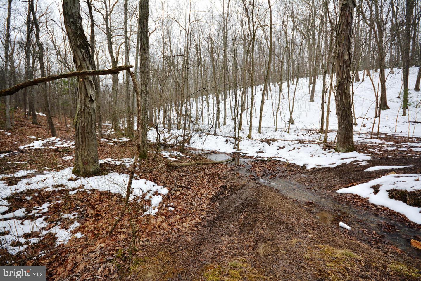 Not On File Cross Junction Cross Junction, VA 22625 - Photo 23 of 25 LAND