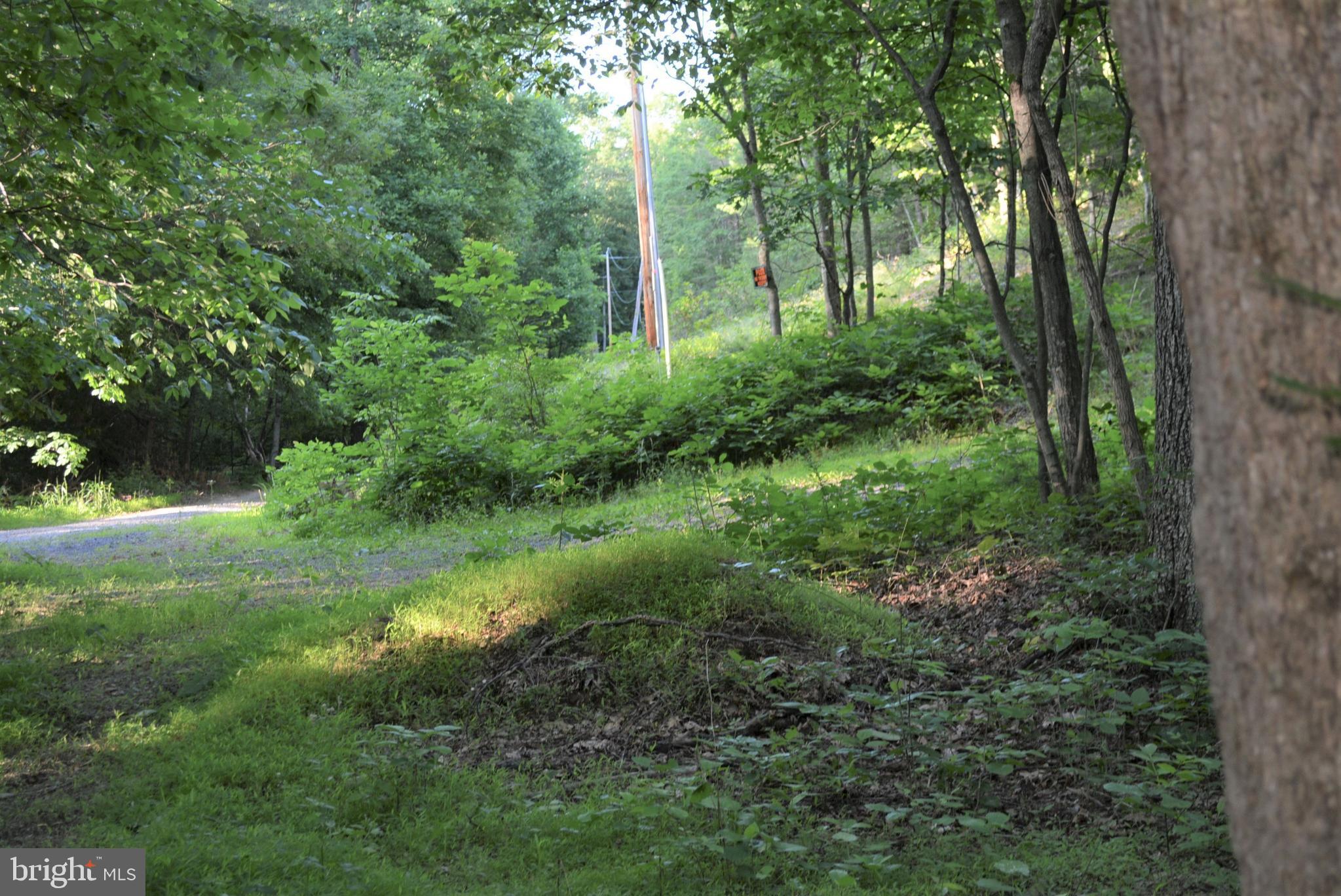 Not On File Cross Junction Cross Junction, VA 22625 - Photo 25 of 25 ROAD COMING DOWN TO PROPERTY