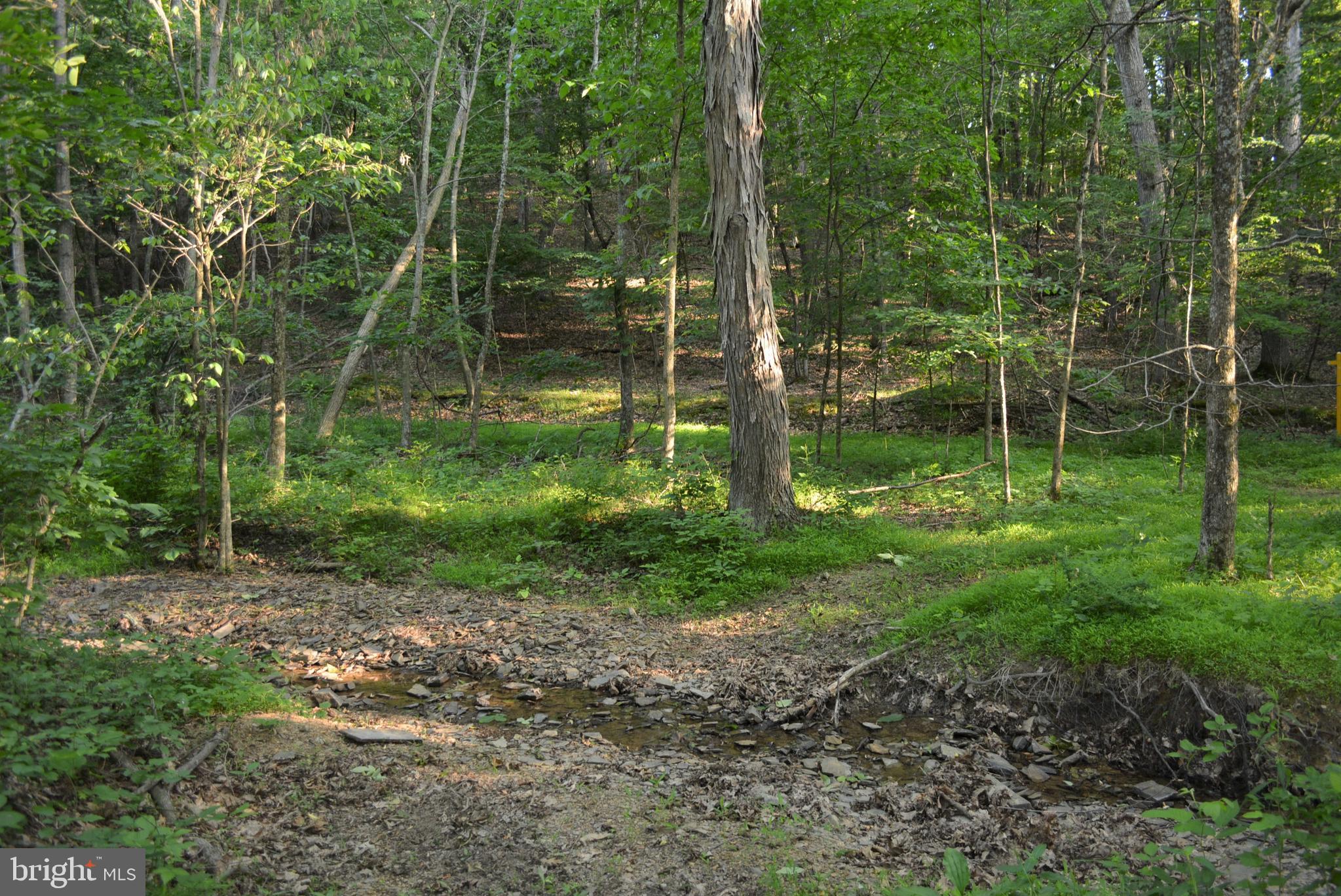Not On File Cross Junction Cross Junction, VA 22625 - Photo 4 of 25 BRING YOUR 4 WHEELERS