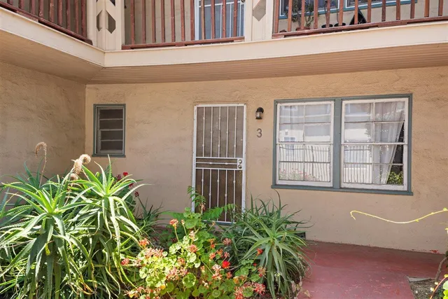 a flower plants in front of a building