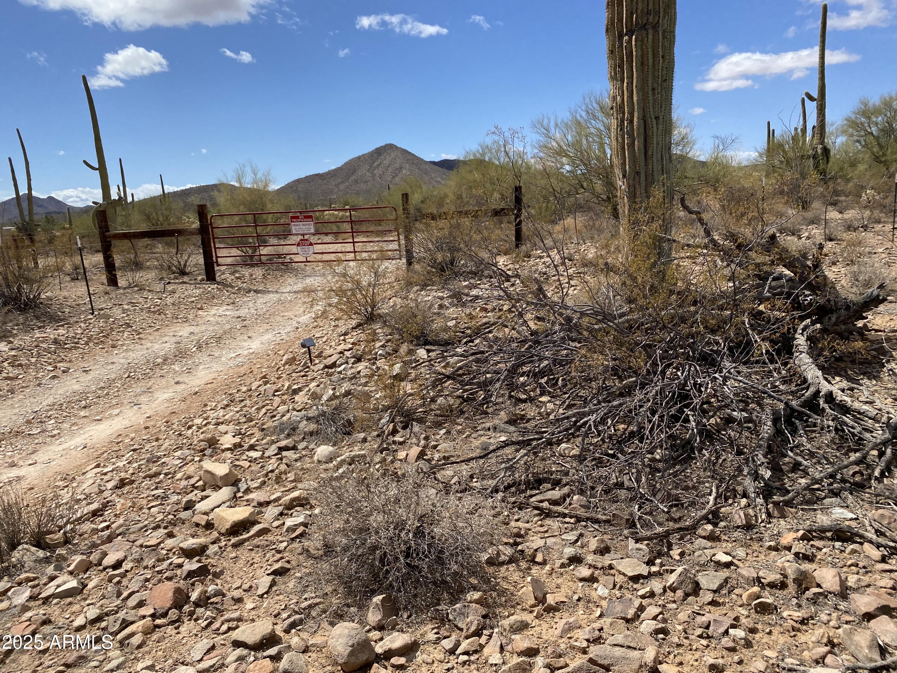 105-acres West Manville Road Marana, AZ 85653 - Photo 6 of 16 IMG_8310