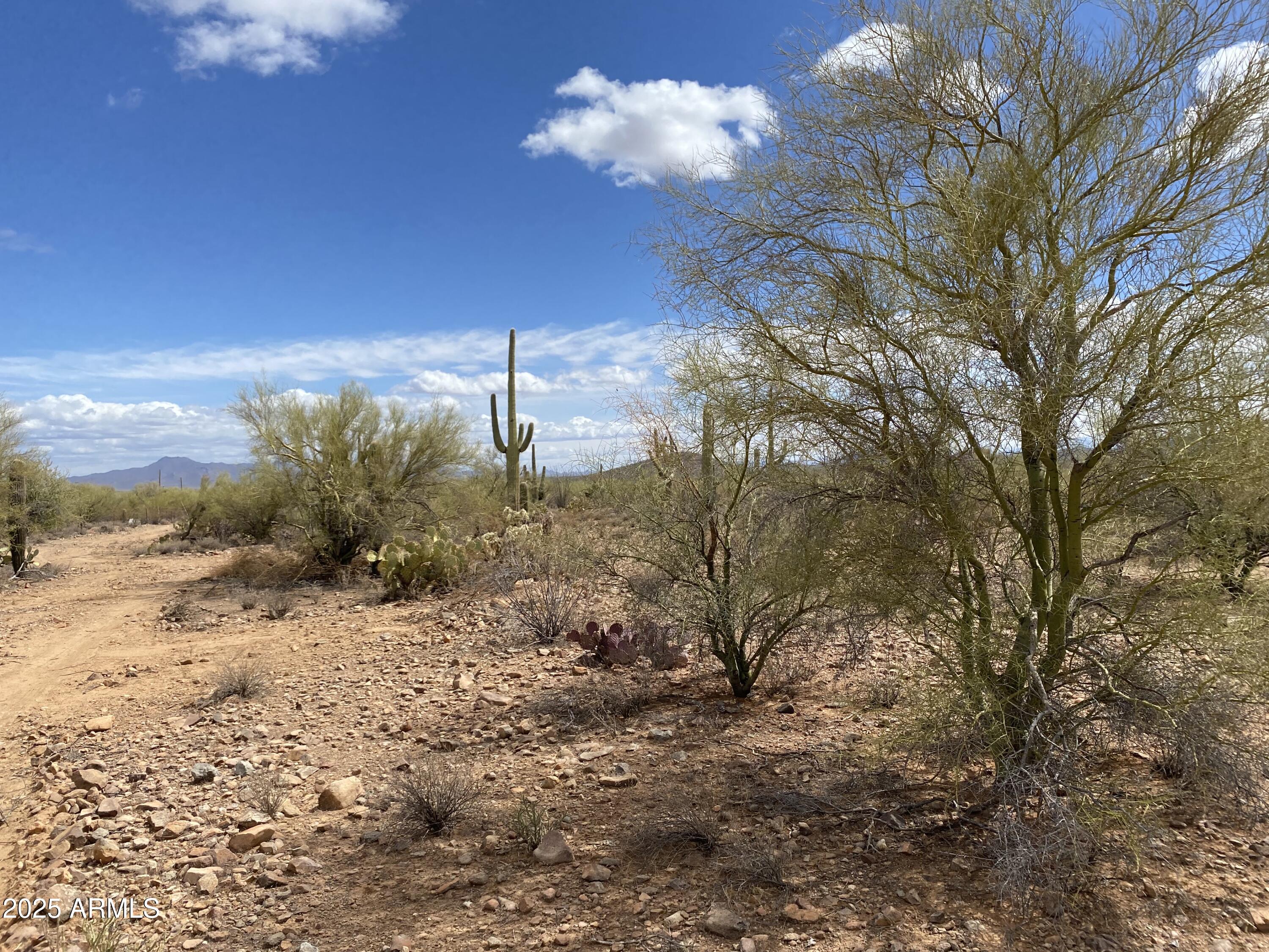 105-acres West Manville Road Marana, AZ 85653 - Photo 7 of 16 IMG_8313 (1)