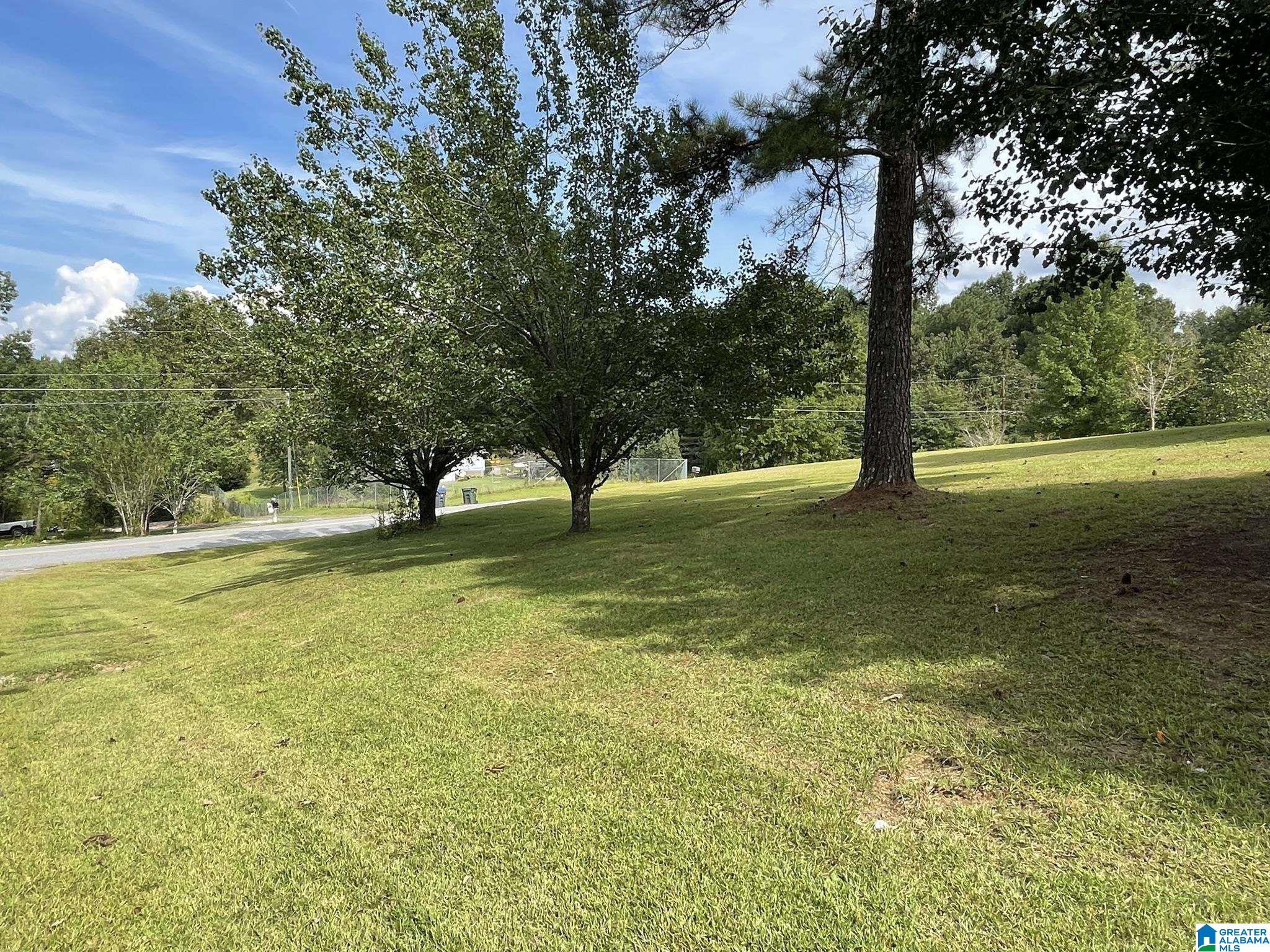 4465 Cook Springs Road Pell City, AL 35125 - Photo 15 of 26