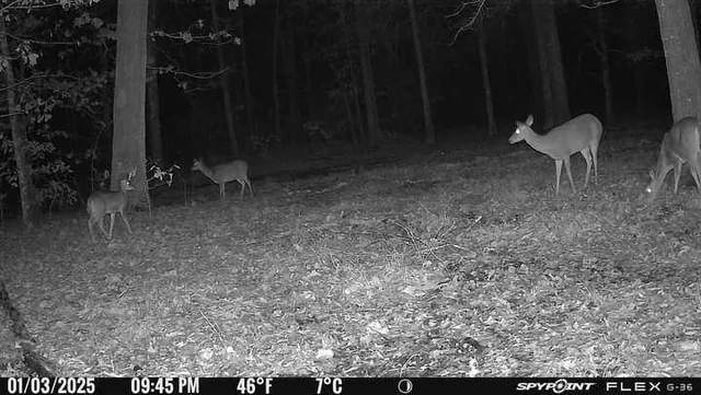 a view of outdoor space with a sink