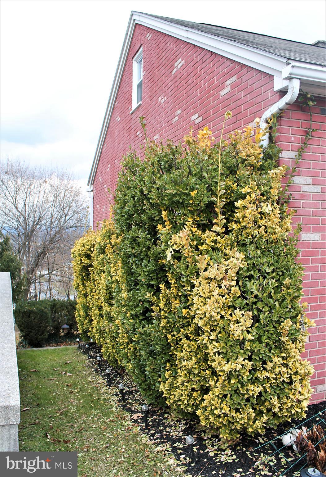 8154 Chambers Hill Road Harrisburg, PA 17111 - Photo 21 of 21 Side Access and Walk Out Basement