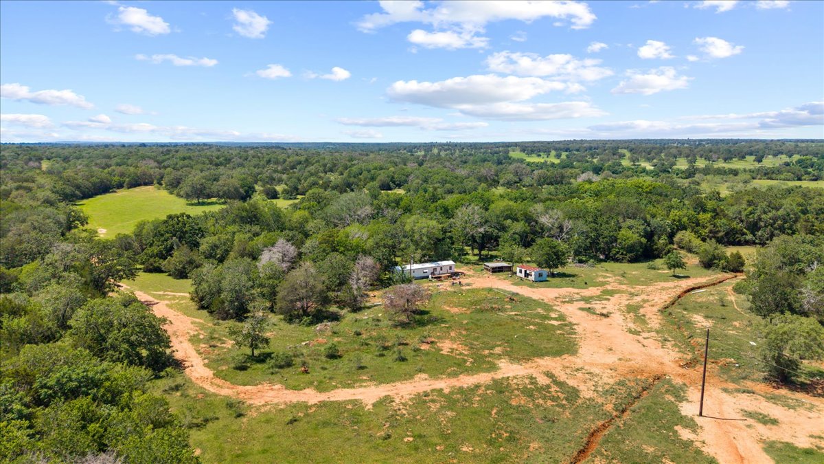 1648 Jeddo Road Rosanky, TX 78953 - Photo 12 of 19 a view of a big yard with lots of green space