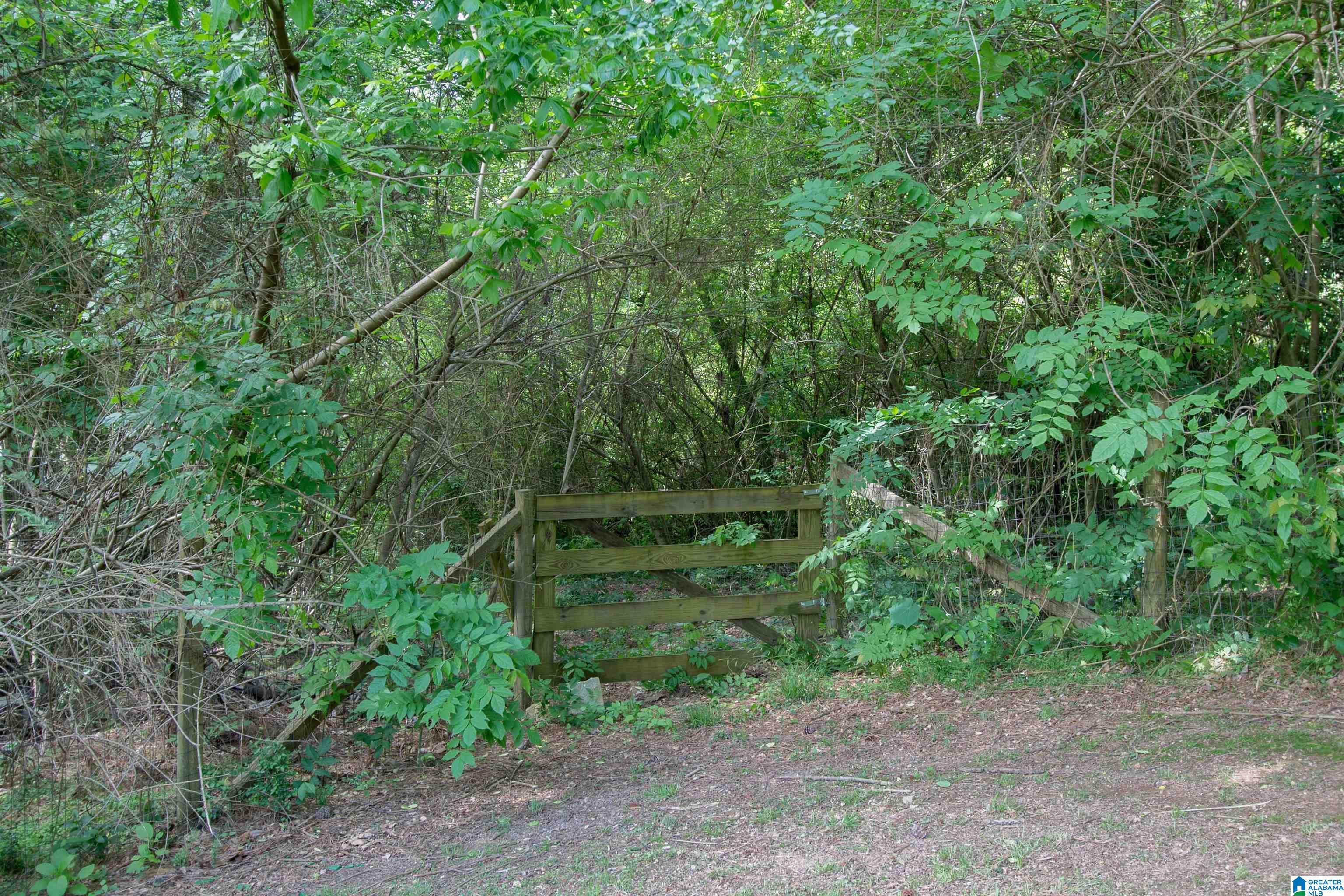 5747 County Road 10 Montevallo, AL 35115 - Photo 48 of 53