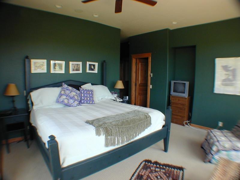 3315 Last Dollar Road Telluride, CO 81435 - Photo 6 of 12 a bedroom with a bed and a lamp on table