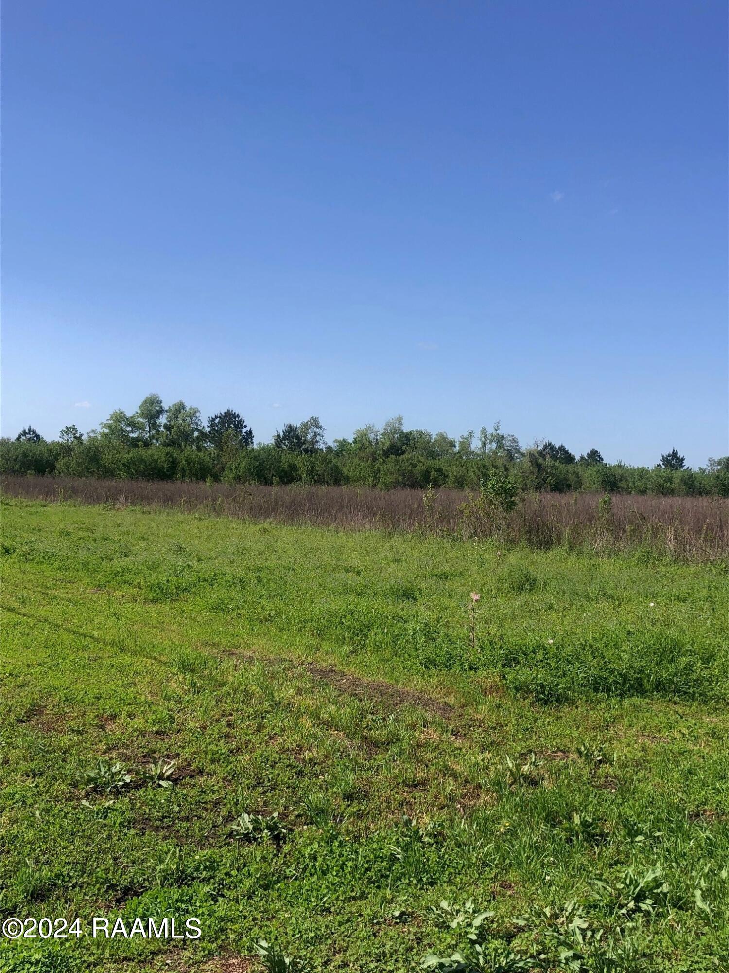 0 Sieber Road St. Martinville, LA 70582 - Photo 3 of 3 3