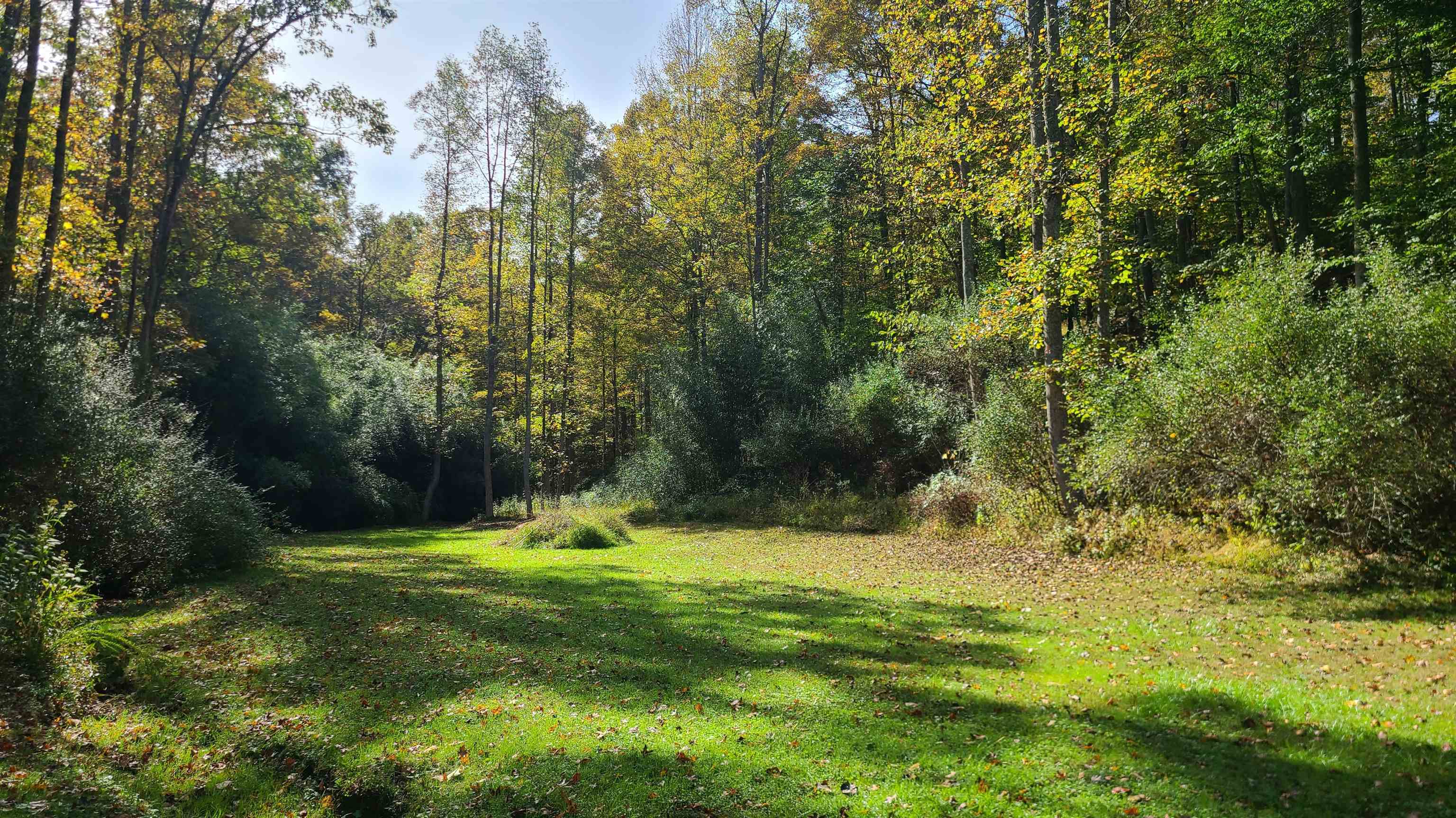 Harmons Branch Road Winfield, WV 25213 - Photo 10 of 14 Gallery Image 10