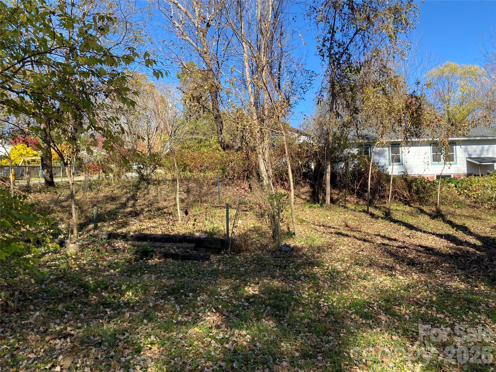 24 Ridge Avenue Asheville, NC 28803 - Photo 25 of 38