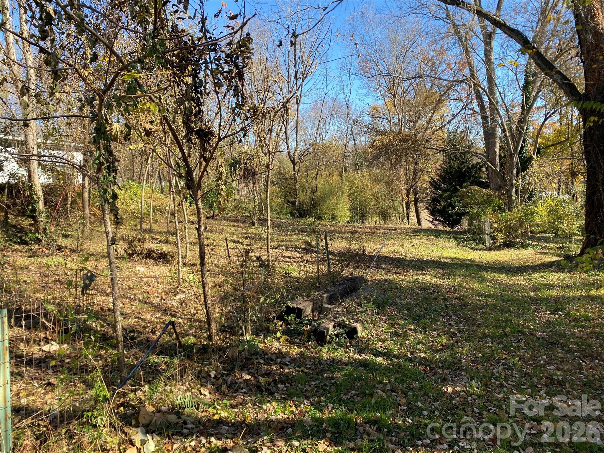 24 Ridge Avenue Asheville, NC 28803 - Photo 27 of 38
