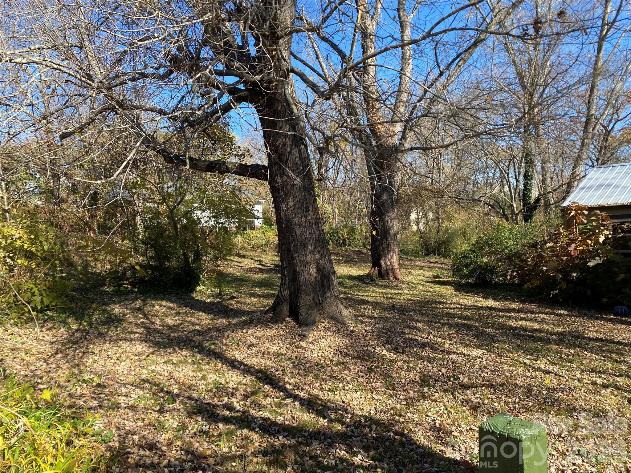 24 Ridge Avenue Asheville, NC 28803 - Photo 28 of 38
