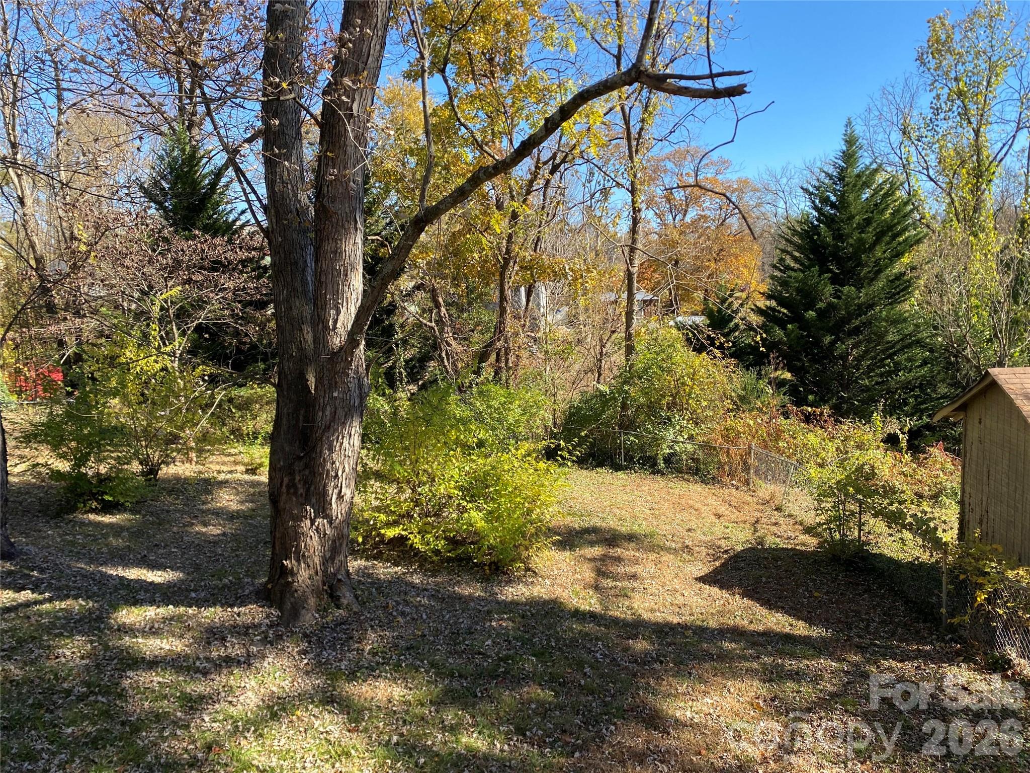 24 Ridge Avenue Asheville, NC 28803 - Photo 31 of 38