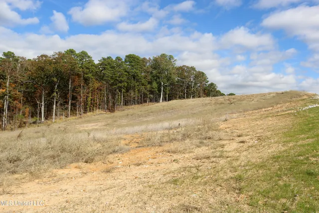 $34,900 | 1 Hugh White State Park Road, Grenada, MS 38901