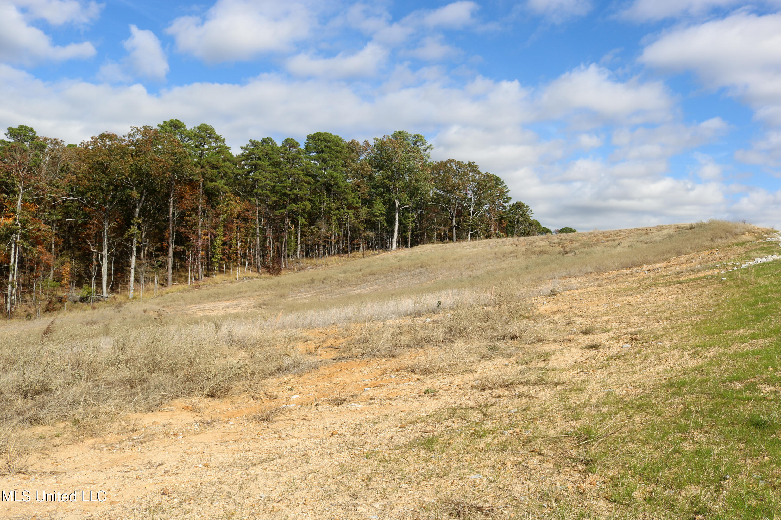 1 Hugh White State Park Road Grenada, MS 38901 - Photo 3 of 9 Tract 1 Hugh White State Park Road-3