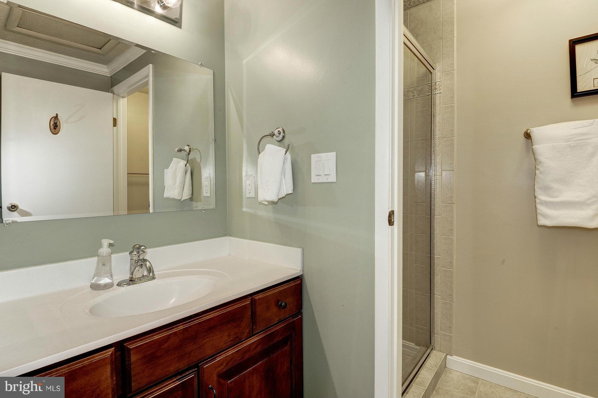 11541 Underoak Court Reston, VA 20191 - Photo 17 of 29 Bath (Master)