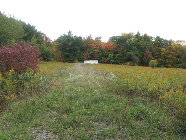 0 Ford Road Prattsburgh, NY 14873 - Photo 1 of 1