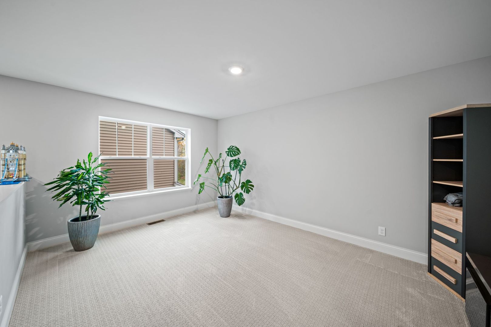 265 South Pointe Avenue South Elgin, IL 60177 - Photo 24 of 43 a view of an empty room with a potted plant