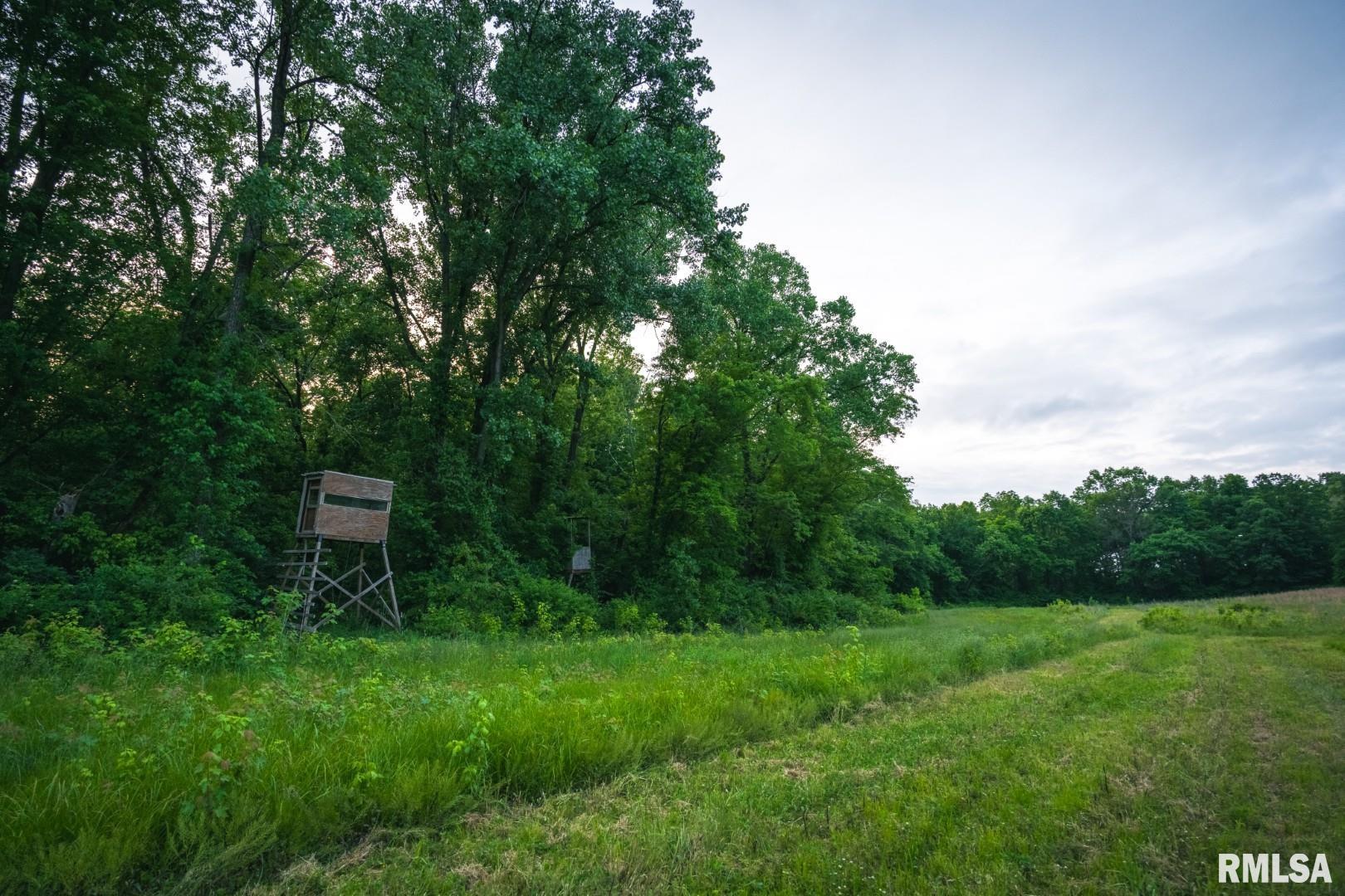 12481 Timber Ridge Godfrey, IL 62035 - Photo 74 of 98