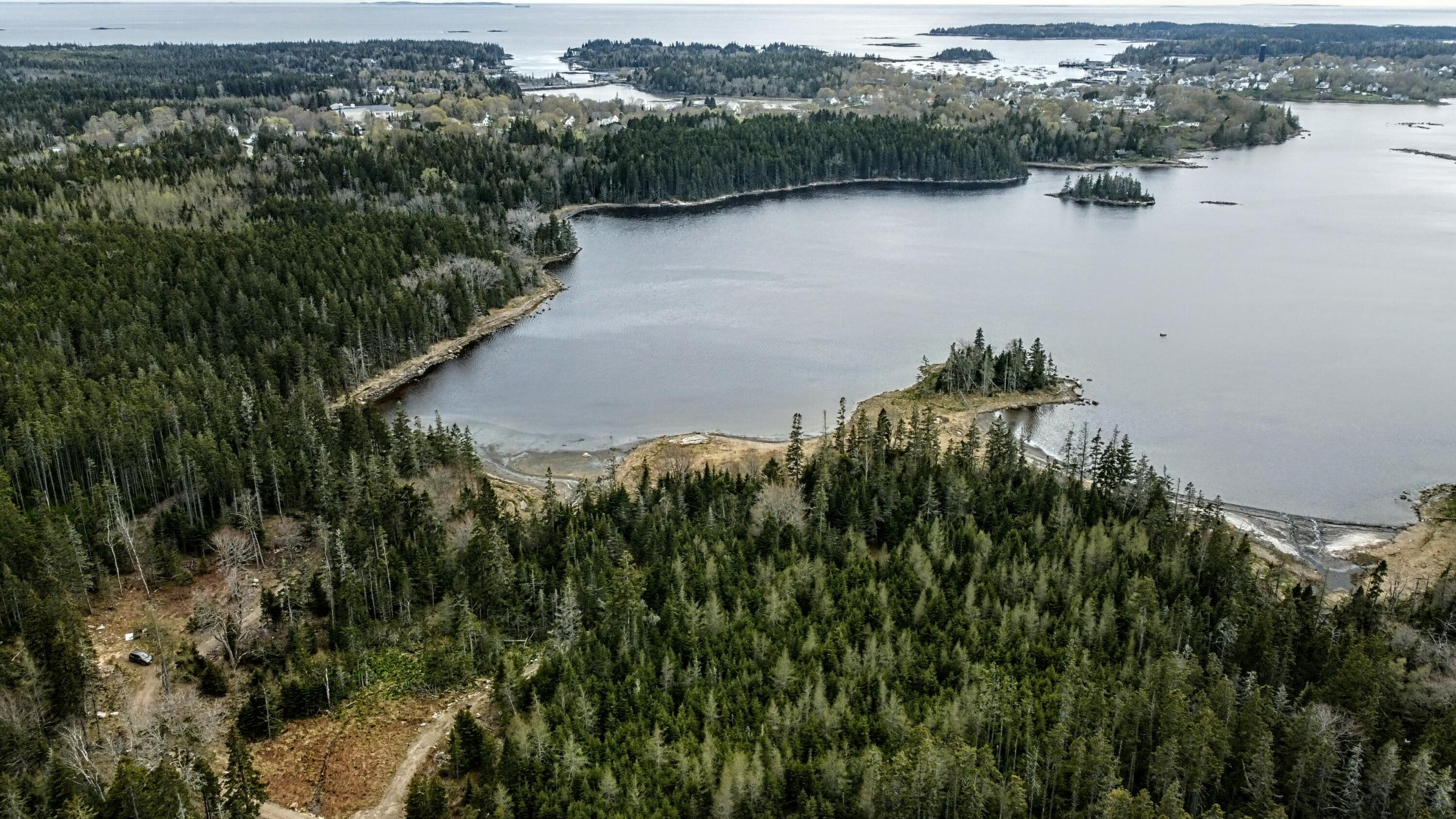 Map6-lot37 Back Wds Road Vinalhaven, ME 04863 - Photo 10 of 12 DJI_0663~2