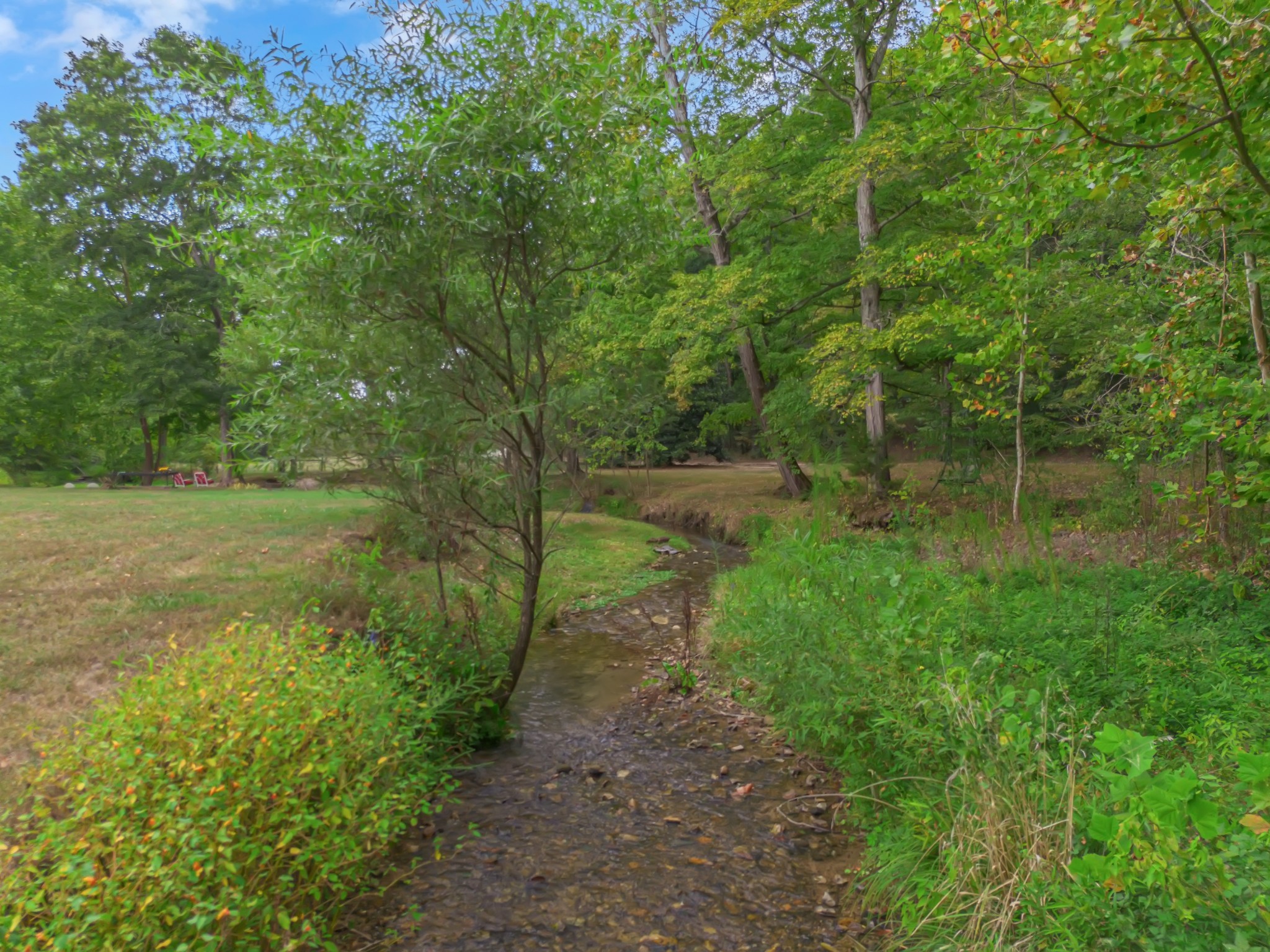 1155 Russell Creek Road Lobelville, TN 37097 - Photo 39 of 49