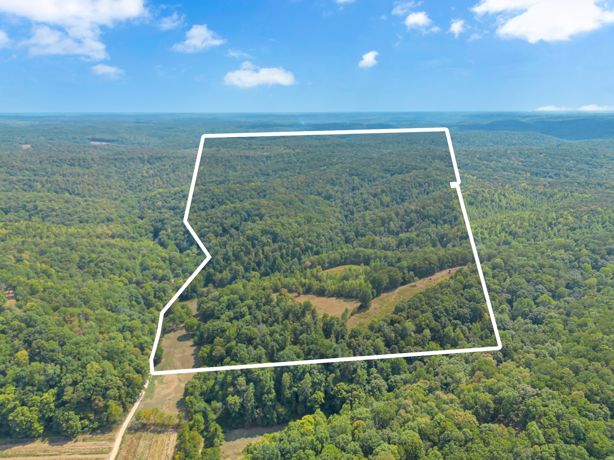 1155 Russell Creek Road Lobelville, TN 37097 - Photo 41 of 49