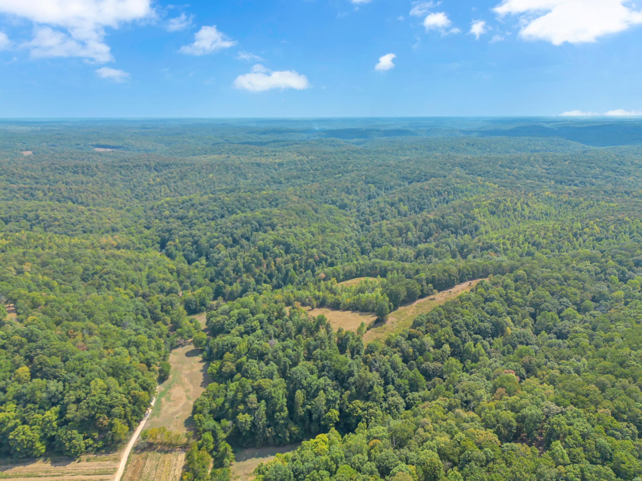 1155 Russell Creek Road Lobelville, TN 37097 - Photo 46 of 49