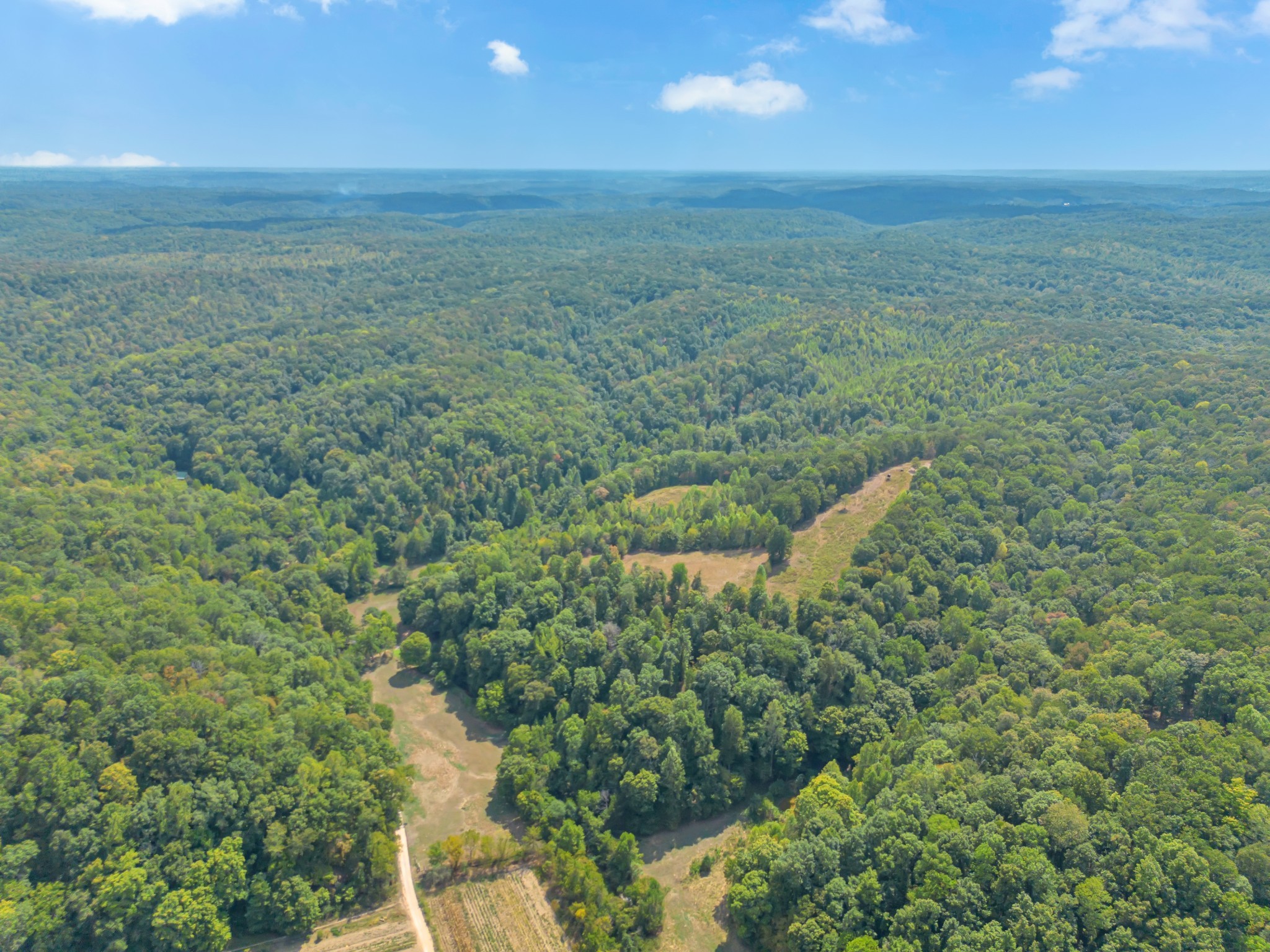 1155 Russell Creek Road Lobelville, TN 37097 - Photo 49 of 49