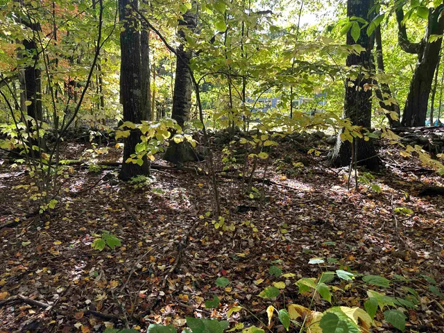 $449,000 | 42 Lower Plains Road, Middlebury, VT 05753