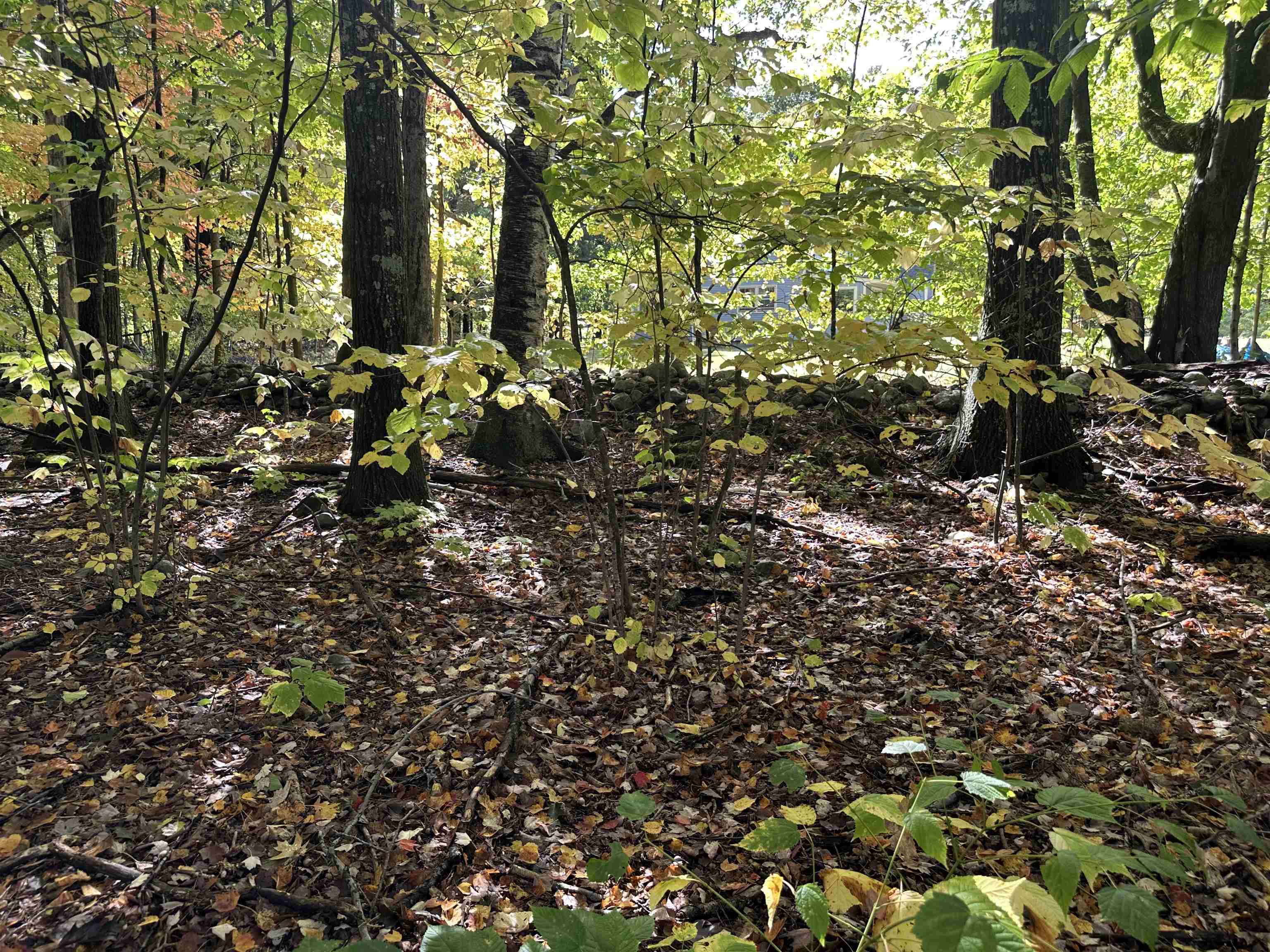 42 Lower Plains Road Middlebury, VT 05753 - Photo 32 of 32